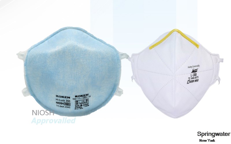 Springwater Livingston New York NY N95 mask