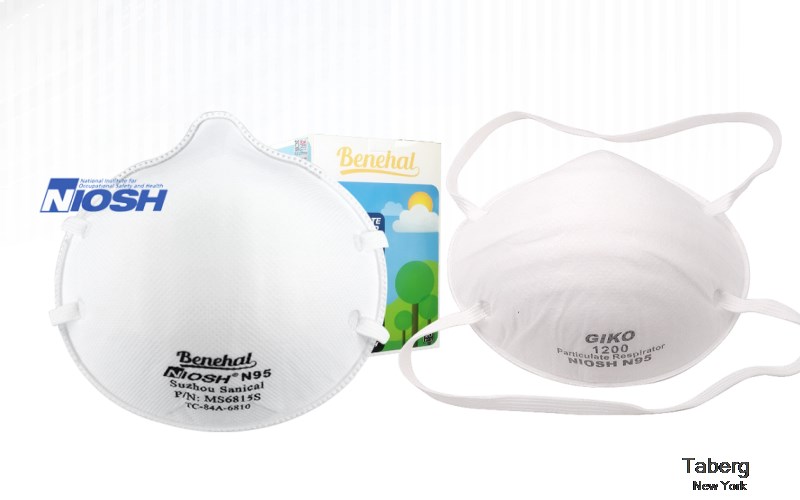 Taberg Oneida New York NY N95 mask