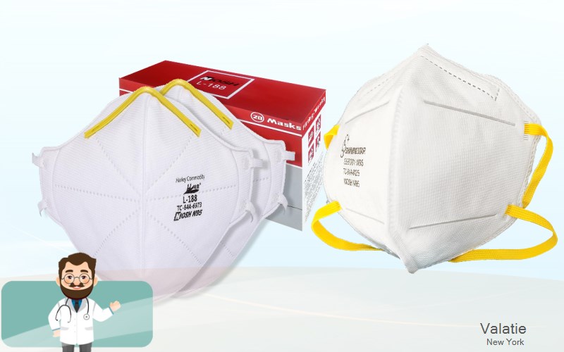 Valatie Columbia New York NY N95 mask