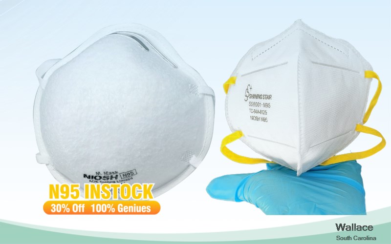 Wallace Marlboro South Carolina SC N95 mask