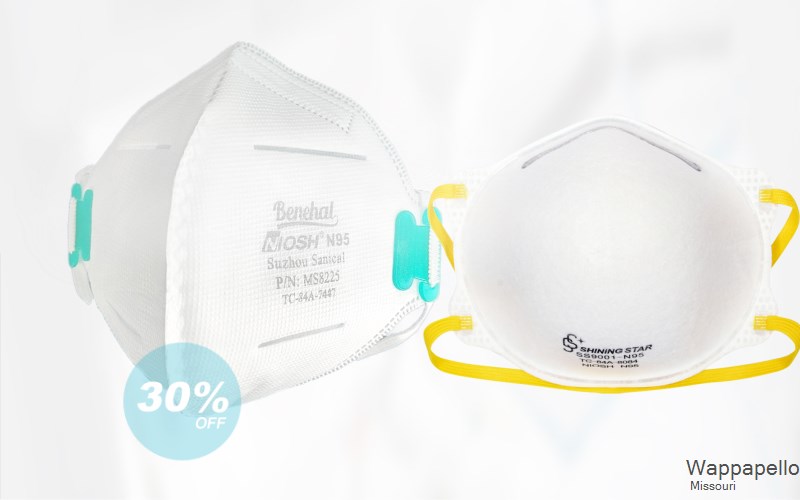 Wappapello Wayne Missouri MO N95 mask