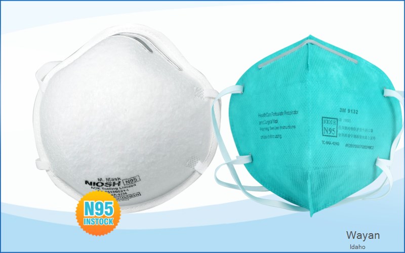 Wayan Caribou Idaho ID N95 mask