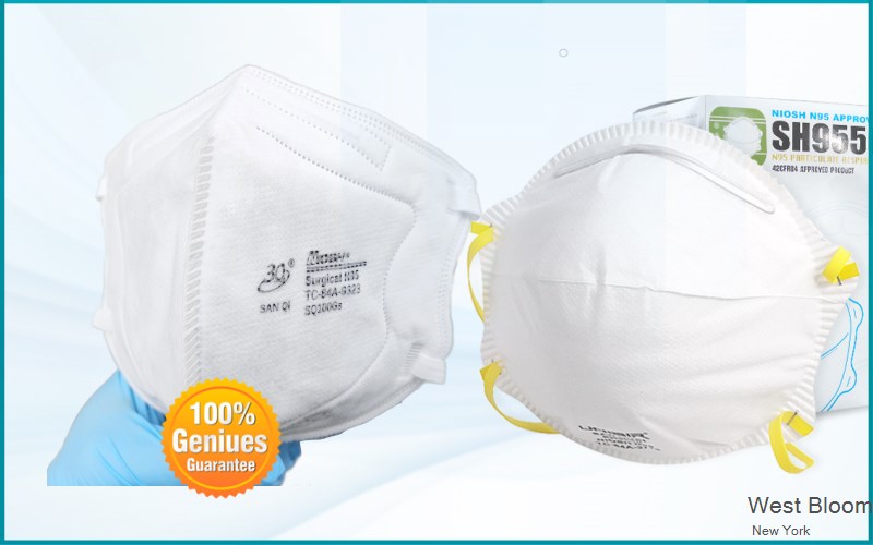 West Bloomfield Ontario New York NY N95 mask