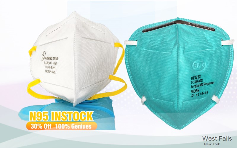 West Falls Erie New York NY N95 mask