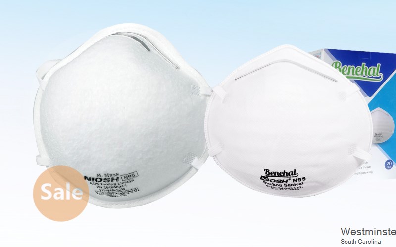 Westminster Oconee South Carolina SC N95 mask