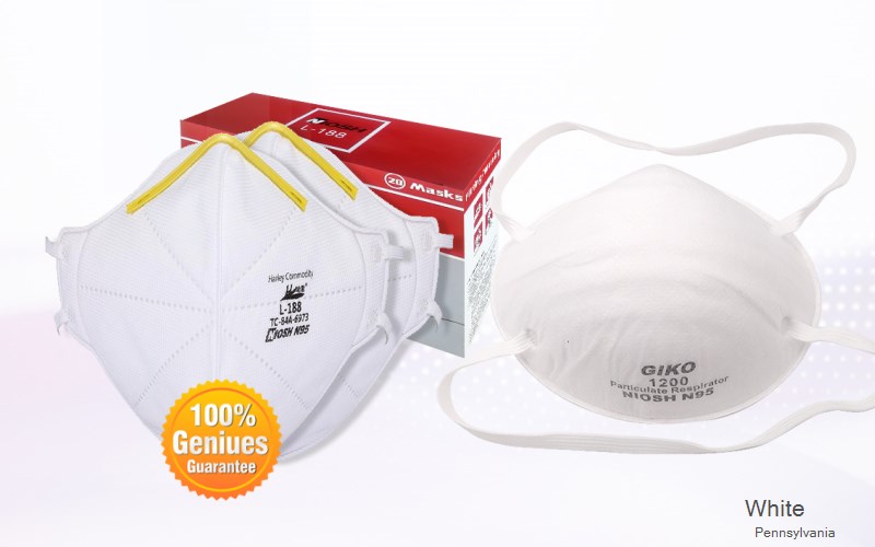 White Fayette Pennsylvania PA N95 mask