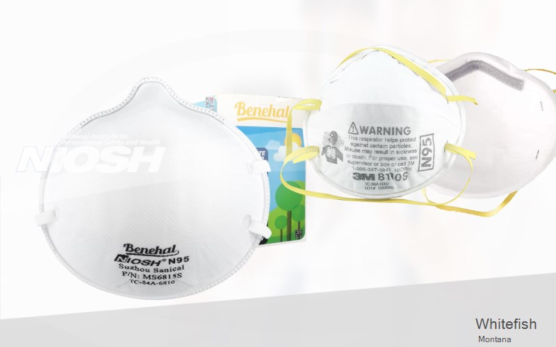Whitefish Flathead Montana MT N95 mask